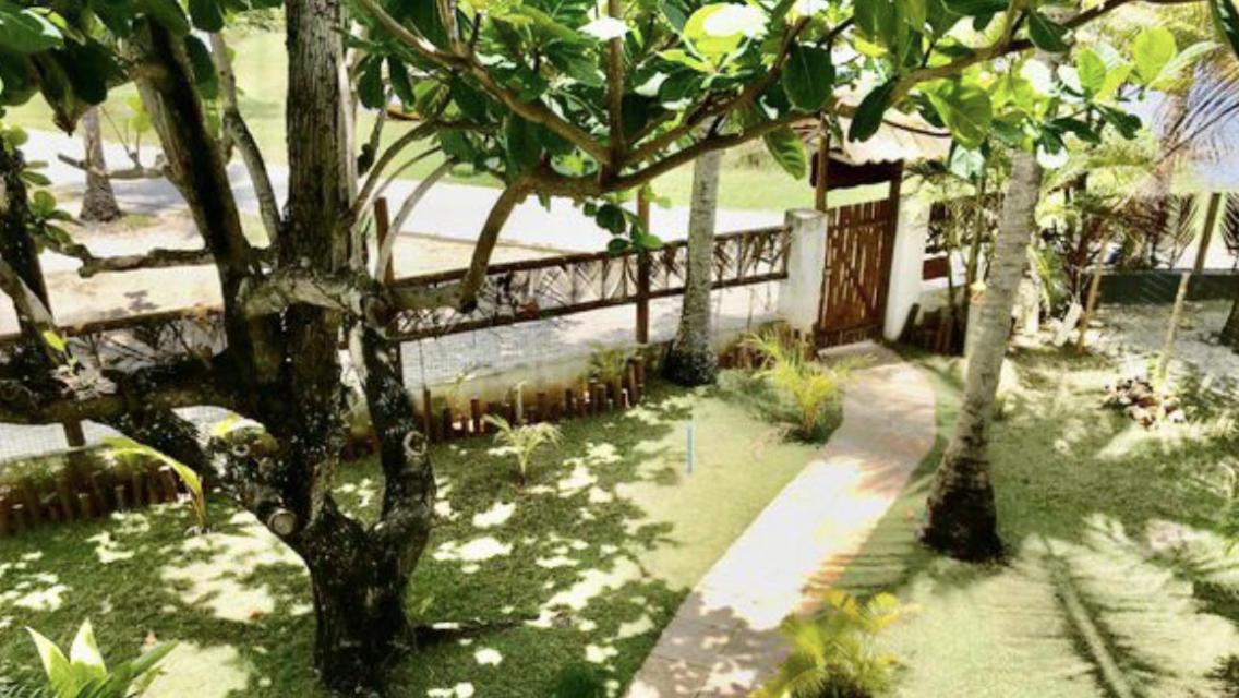 Paradise Beach House Imbassai Kültér fotó